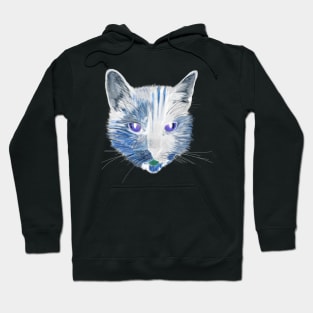 Tortoiseshell Cat Digital Art (Invert) Hoodie